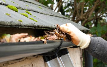 gutter cleaning Ardentinny, Argyll And Bute