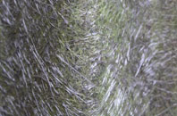 Ardentinny fibreglass roof work